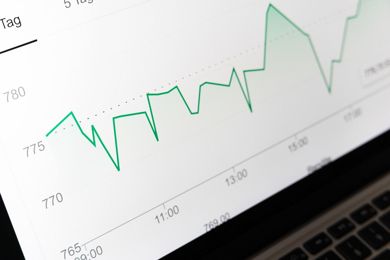 Was sind börsennotierte Aktien?