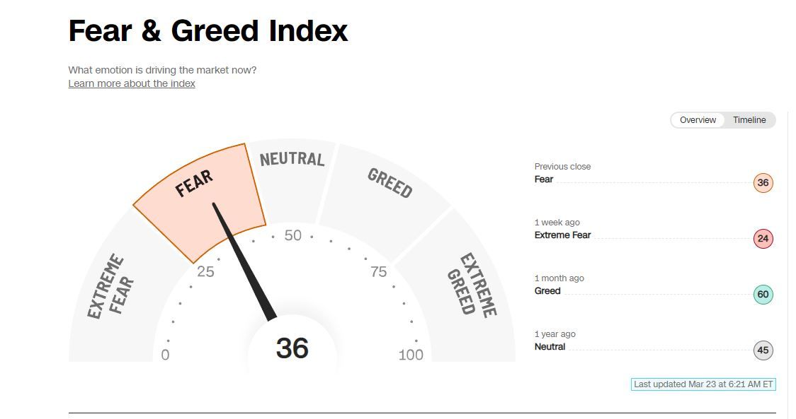 Der Index gibt einen schnellen Überblick, über den emotionalen Zustand des Aktienmarktes. 