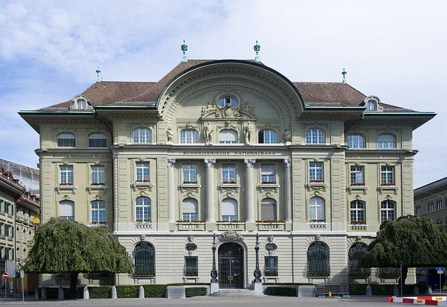                               Die Schweizerische Nationalbank (SNB)                             
                              