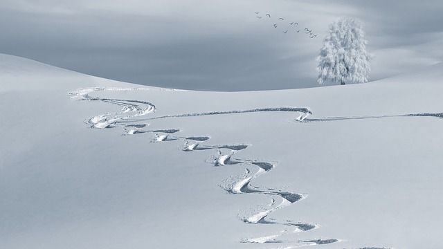 Sich mit der richtigen Anlagestrategie nicht von seinem Ziel abbringen lassen.