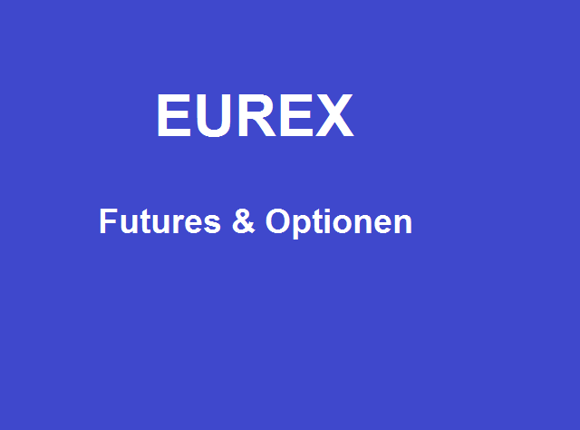                               EUREX Futures & Optionen: Handeln wie die Profis                             
                              