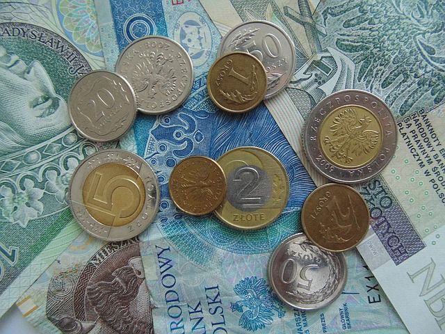 Euro in Zloty tauschen